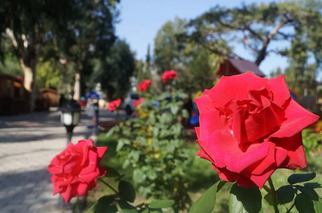 Resort Lemonpark House Hotel Antalya